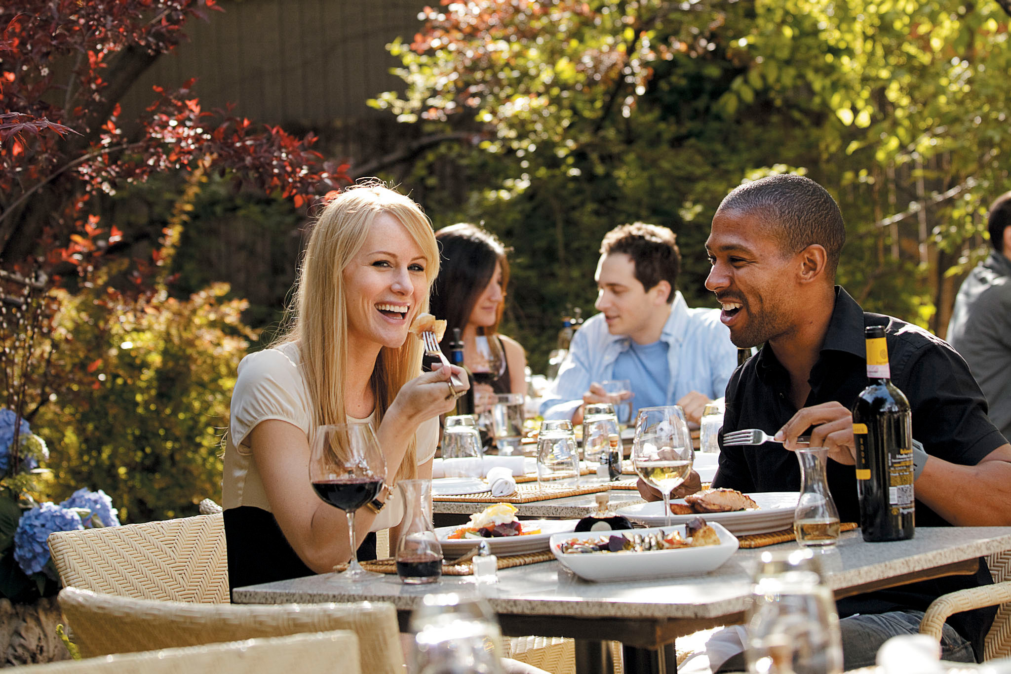 familyoutdoorpicniclunch Brentcorp Foodservice & Bulk Barn