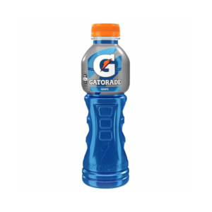 GATORADE GRAPE 600ML 12PC