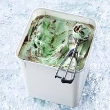 EVEREST MINT CHOC FUDGE ICE CREAM 10L