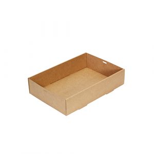 Kraft Catering Tray #2