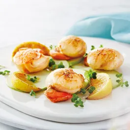 Scallops