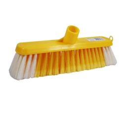 Yellow Broom Head